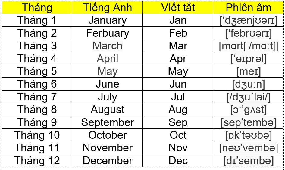 KYC Quỹ My Forex Funds